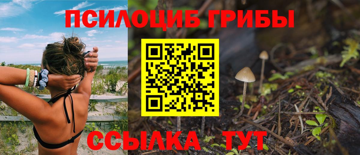 Псилоцибиновые грибы MAGIC MUSHROOMS Кемерово